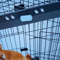 trasportino per cane