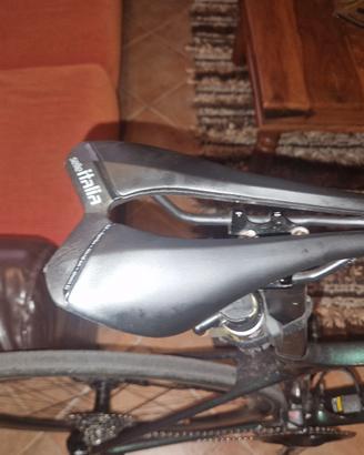 giant tcr 