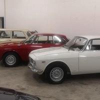 MOTORI BIALBERO ALFA ROMEO GT GIULIA SPIDER Nuovi