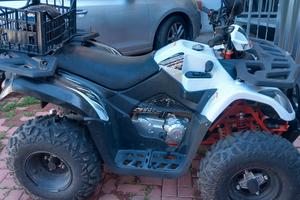 quad cayo 200