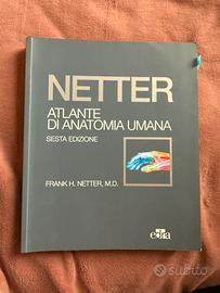 Netter - Atlante di anatomia umana