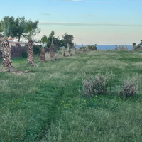 Terreno fronte spiaggia ciammarita