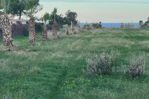 Terreno fronte spiaggia ciammarita