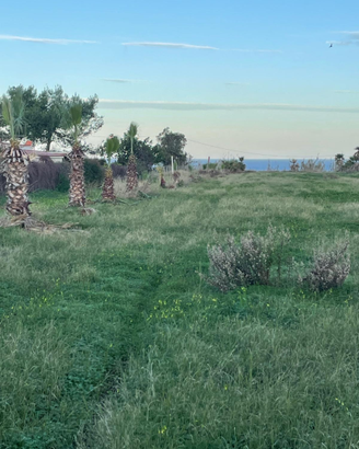 Terreno fronte spiaggia ciammarita