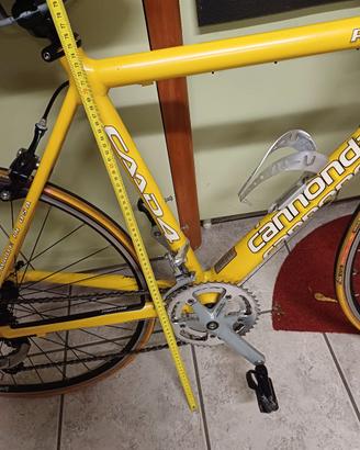 ciclismo