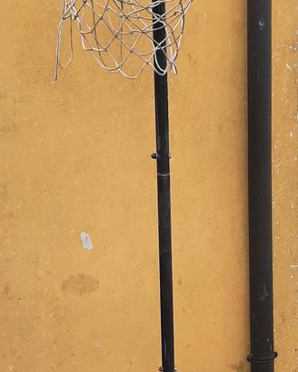 Struttura  Basket 