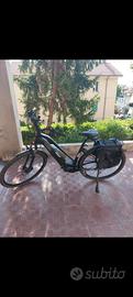 Ebike :Bent