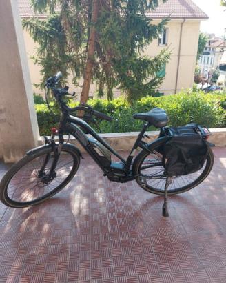 Ebike :Bent