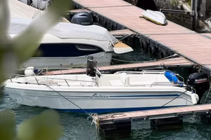 Barca 40cv 5,5m, motore solo 220 ore
