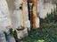 Immagine 20