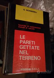 Ingegneria Civile Consolidamento terreni Pareti