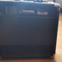 amplificatore