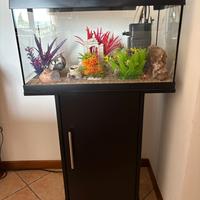 Acquario pesci JUWEL