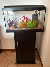 Acquario pesci JUWEL