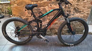 ebike Argento Performance Pro 