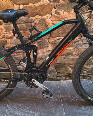 ebike Argento Performance Pro 