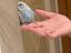 Immagine 1