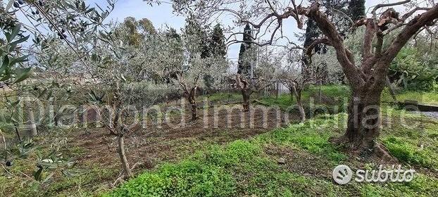 Terreno 1300 mq in parte edificabile Piedimonte - Vista 2