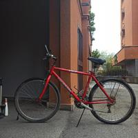 bicicletta uomo Mountain bike   