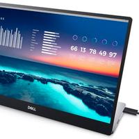 Monitor Portatile Dell P1424H IPS 3 anni garanzia