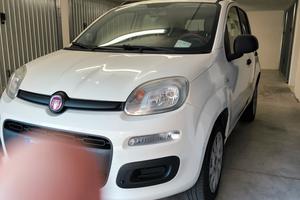 Panda Natural Power metano 2013 