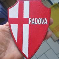 Gadget in legno Padova calcio
