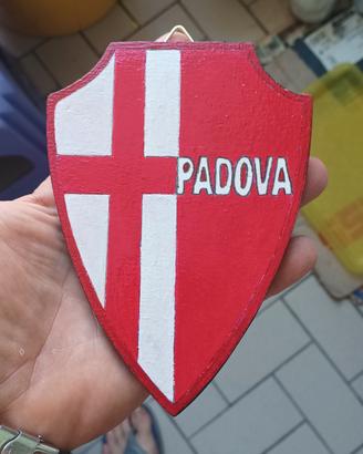 Gadget in legno Padova calcio