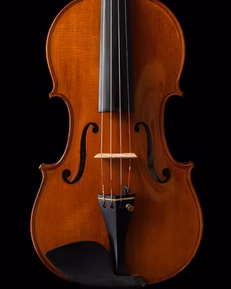 Violino liuteria Cremona