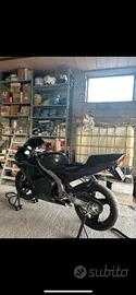 aprilia rs 50 (75)