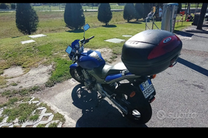 Honda Hornet 600 2004