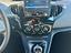 Immagine 12