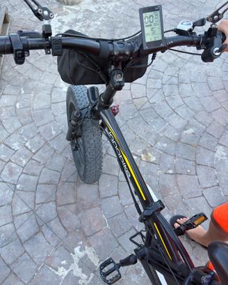 Bicicletta elettrica