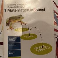 matematica in 3 passi  1