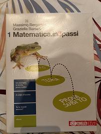 matematica in 3 passi  1