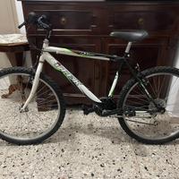 Bicicletta Itek