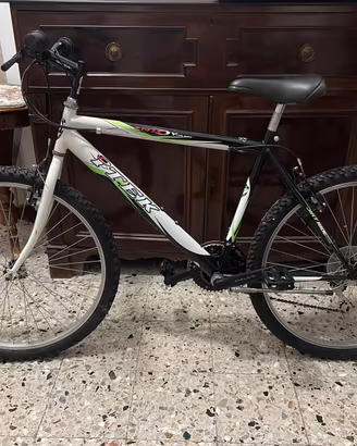 Bicicletta Itek