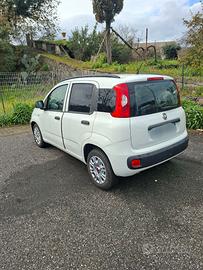 Fiat panda 1.3 multijet S&S 80 cv eccellente