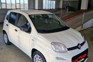 FIAT Panda 1.0 hybrid icon