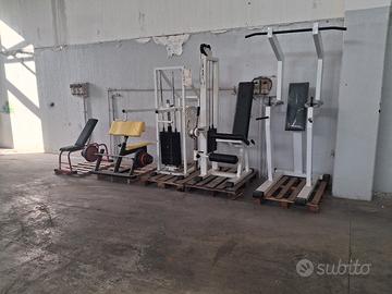 attrezzi palestra panatta leg extension
