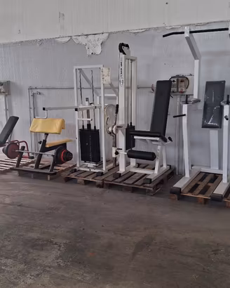 attrezzi palestra panatta leg extension