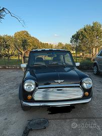 Mini  rover 1000
