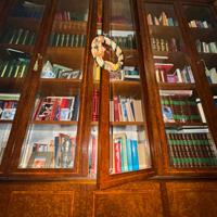 Libreria monumentale in Radica di Noce – Interline