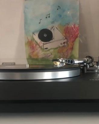 Giradischi  Akai AP 100 C