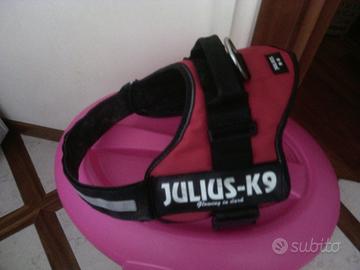 Pettorina Cane Julius K9 + guinzaglio