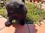Immagine 4