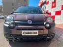 fiat-panda-1-2-trussardi