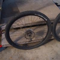 ruote mtb da 29