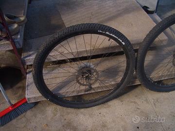 ruote mtb da 29
