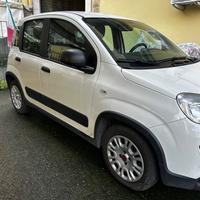 Fiat Panda 1.0 S&S Hybrid Van 4 posti