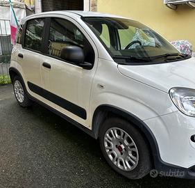 Fiat Panda 1.0 S&S Hybrid Van 4 posti